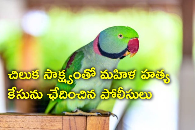 Police busted woman murder case with a Parrot help 