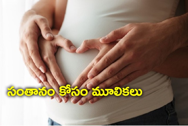 ayurveda herbs that improve fertility vigor