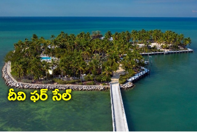 This private island in Florida costs Rs 1800 cr has 98 foot pool