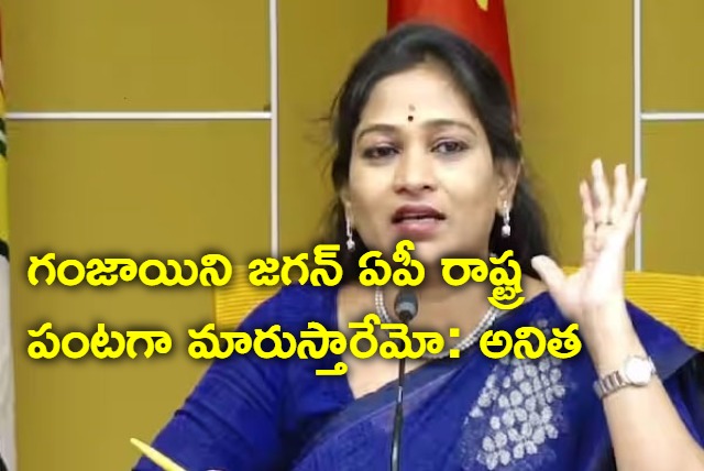 Marijuana Will be the state crop of AP Slams TDP Leader Anitha