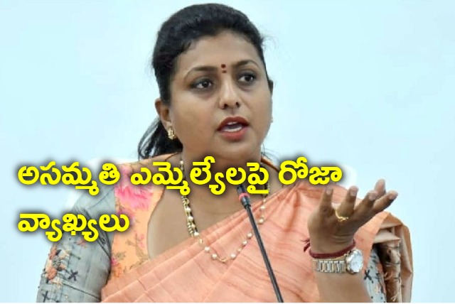 minister Roja  Sensational Comments on MLAs