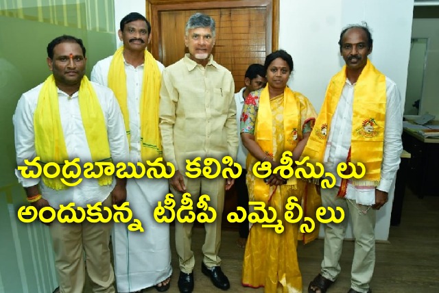 TDP MLCs met TDP Chief Chandrababu 