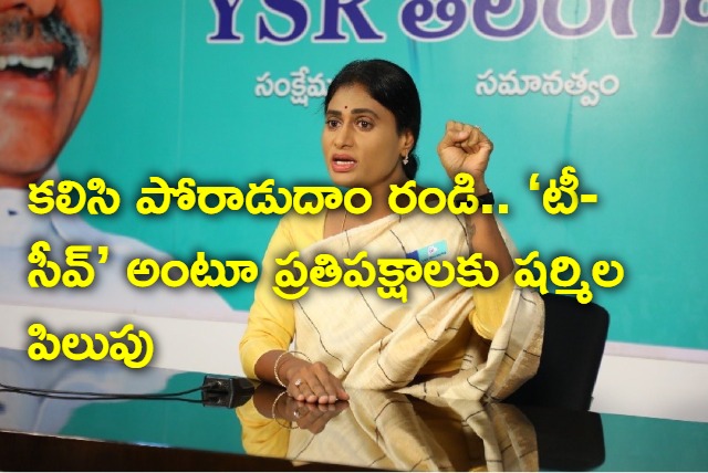 ysrtp president sharmila appeal to all party leaders in telangana