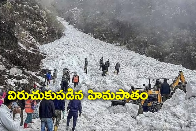 Sikkim avalanche 7 dead in hill disaster rescue ops called off after another slide hits Nathu La