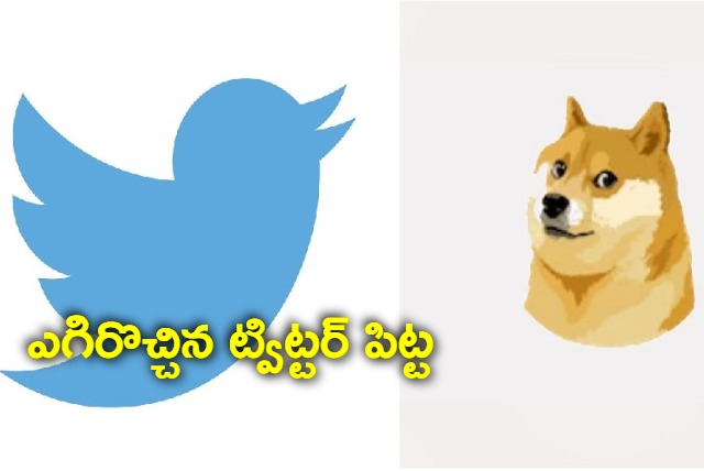 Little birdie is back Elon Musk replaces Dogecoin logo with official Twitter logo