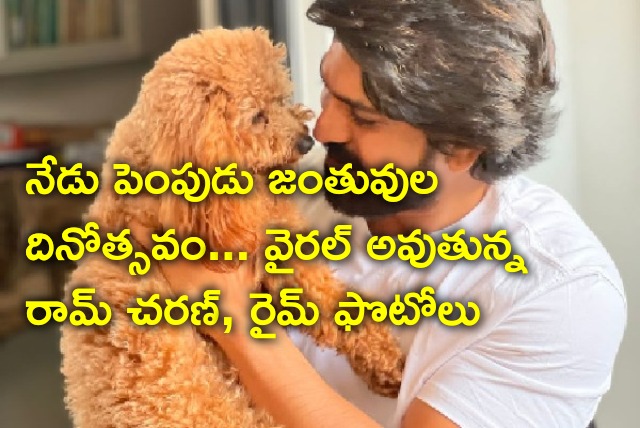 Ram Charan and Rhyme photos gone viral on National Pet Day