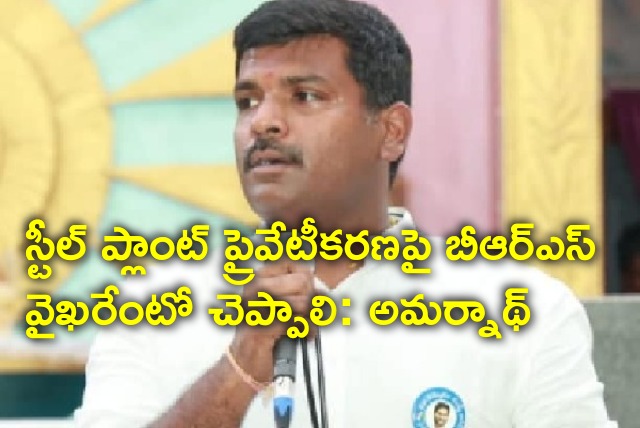 Gudivada Amarnath reacts on Steel Plant bidding issue 