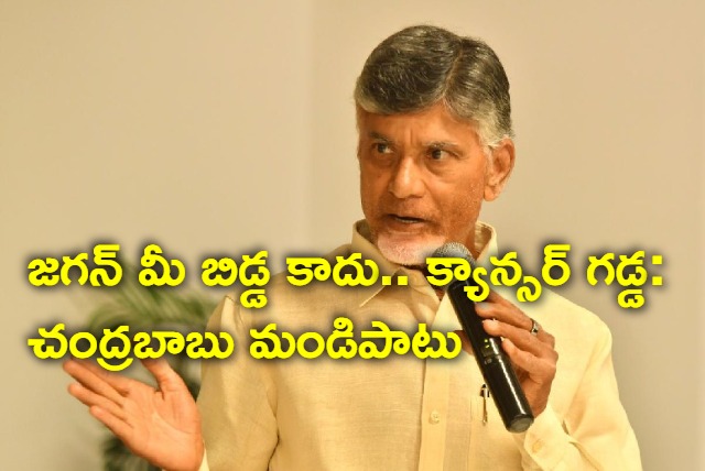 chandra babu fires on ys jagan