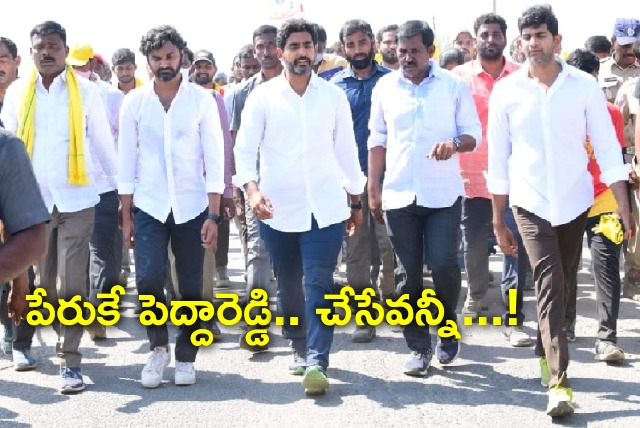 Lokesh slams MLA Peddareddy  