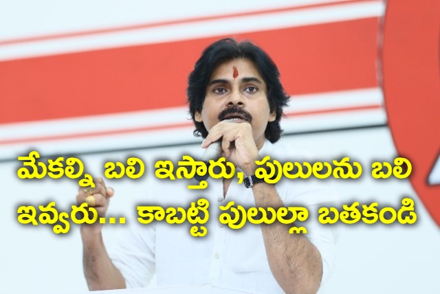 Live like tigers says pawan kalyan