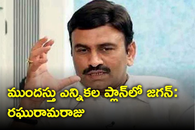 YS Jagan To Go Early elections Says YCP MP Raghurama Krishna Raju