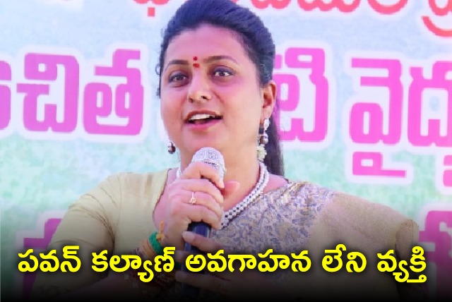 Roja take a dig at Pawan Kalyan over Rishi Konda issue