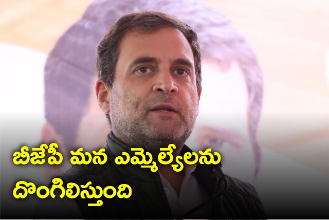 Rahul Gandhi key advice to Congress leaders of Karnataka