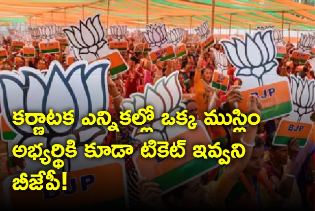 No ticket for Muslim in Karnataka BJP