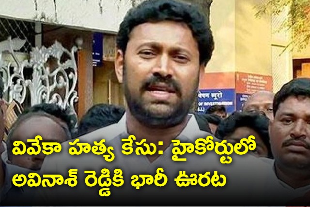 Big relief to MP YS Avinash Reddy in high court