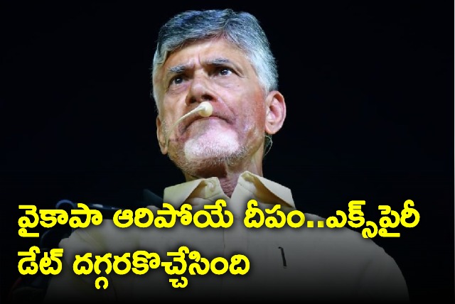 TDP supremo babu lashes out at jagan 