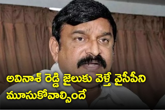 If Avinash Reddy goes to jail YSRCP will have to be closed says Vishnu Kumar Raju