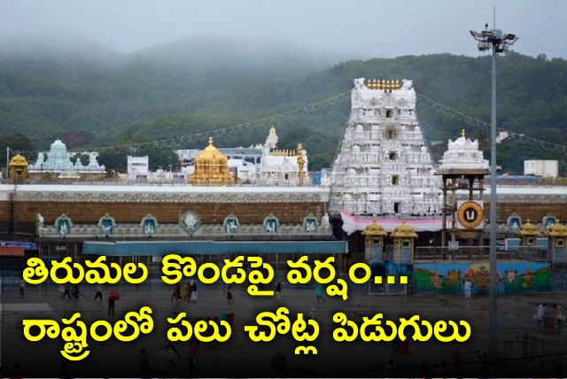 Rain lashes Tirumala hills 