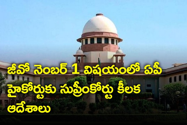 Supreme Court orders to AP High Court in GO no 1 