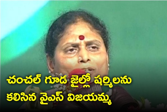 YS Vijayamma meets Sharmila in jail