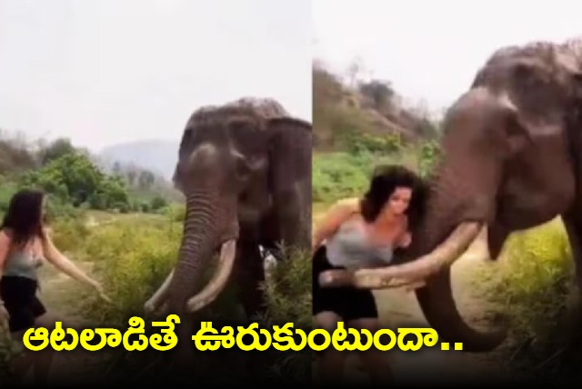 Elephant attacks woman who was trying to feed bananas to it IFS officer shares video