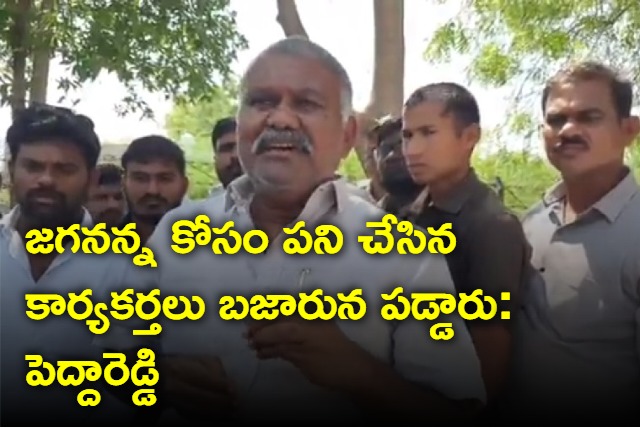 YCP MLA Ketireddy Peddareddy criticizes CM Jagan