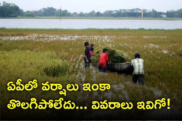 Rain forecast for AP 