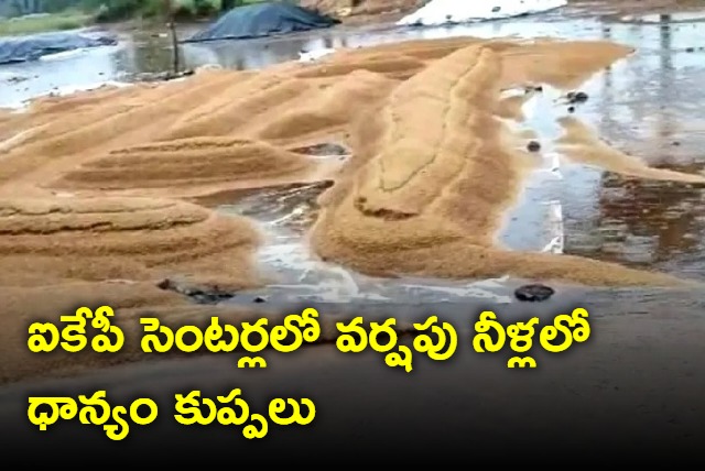 Farmers Suffers Unseasonal Rains Damage Crops in Telangana