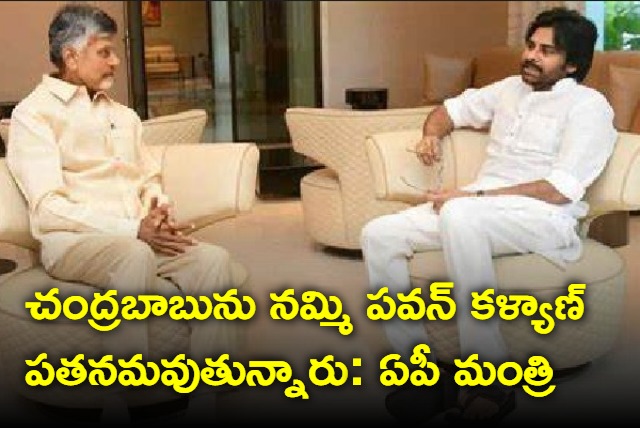 AP minister warns Pawan Kalyan for alliance with TDP