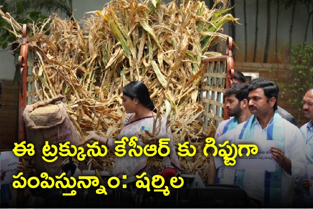 Sharmila says they are sending a truck with damaged crops to KCR