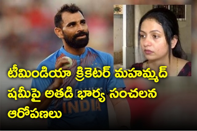 indian cricketer mohammed shamis wife moves sc against calcutta high court order