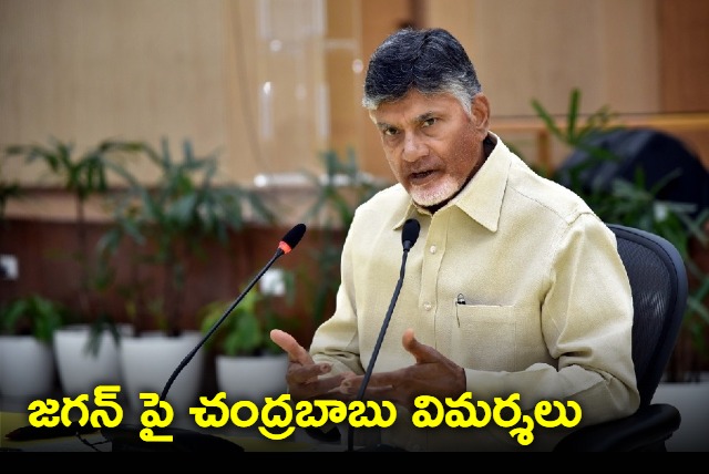 chandrababu comments on ys jagan