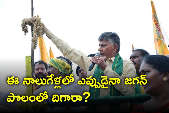 Chadrababu visits damaged fields in Eluru district 