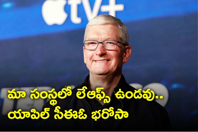 Apple wont fire employees says CEO Tim Cook