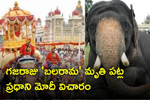 Modi reacts to the death of elephant Balarama 