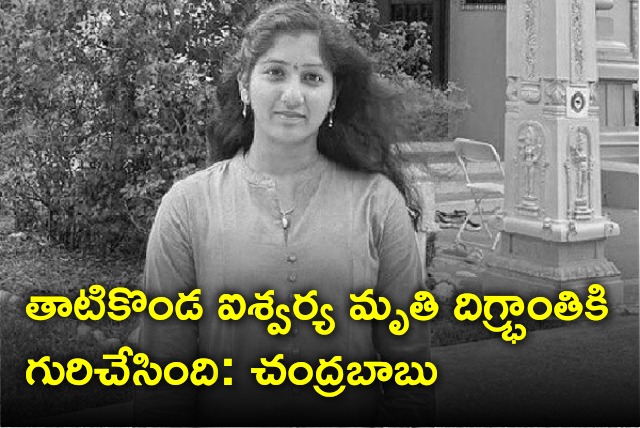 Chandrababu responds on Thatikonda Aishwarya death in US mass shooting incident 