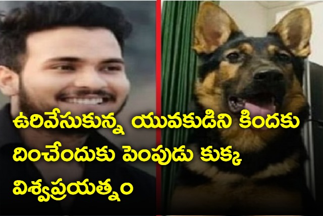 Boy Committed Suicide By Hanging Himself And After A While His Pet Dog Also Died 