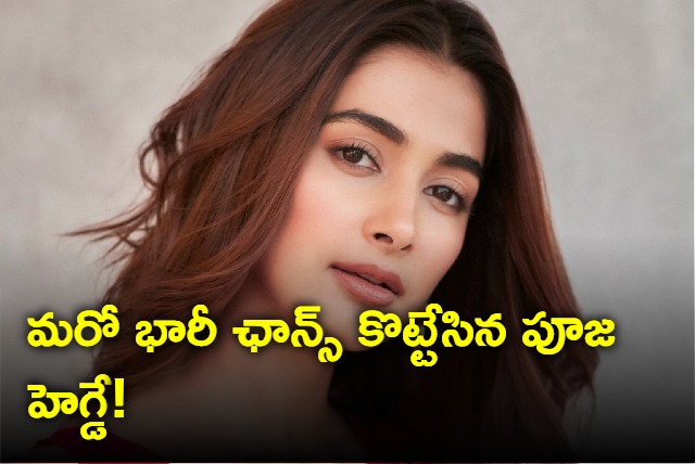 Pooja Hegde Special