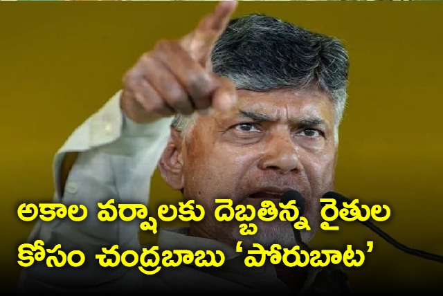 TDP to launch protest against AP goverment demading help for farmers affected by unseasonal rains