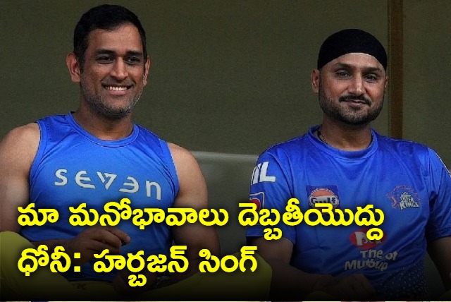 Dont hurt our feelings MS Dhoni you should continue playing says Harbhajan Singh