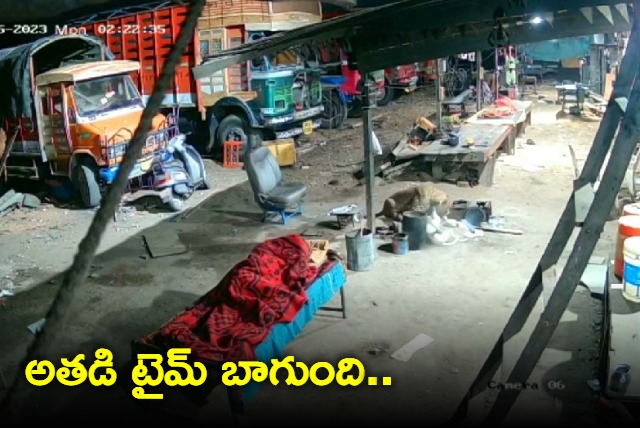 Leopard attacks street dog sleeping on highway IFS officer shares viral video