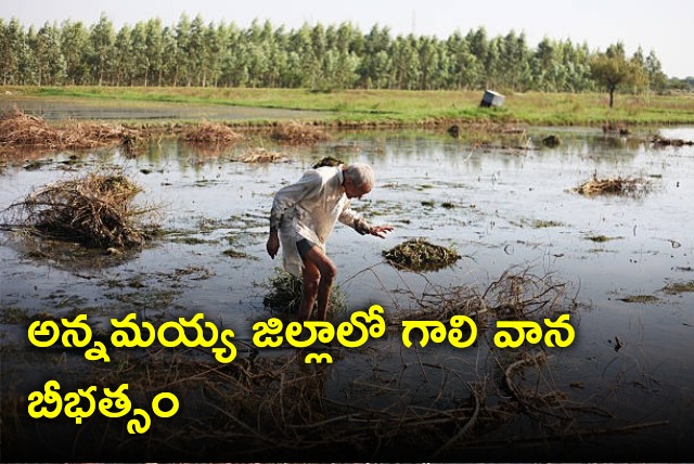 Heavy rain and gayle winds in Annamayya district 