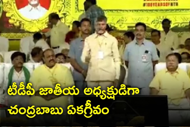 Chandrababu unanimously elected as TDP National President 