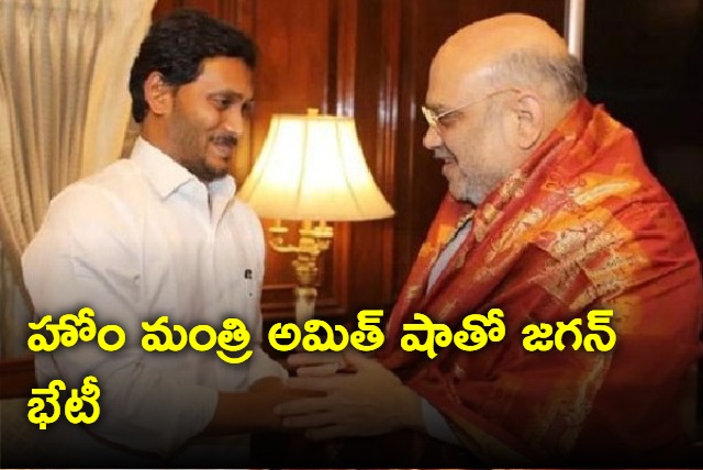 AP CM jagan meets Amit shah 