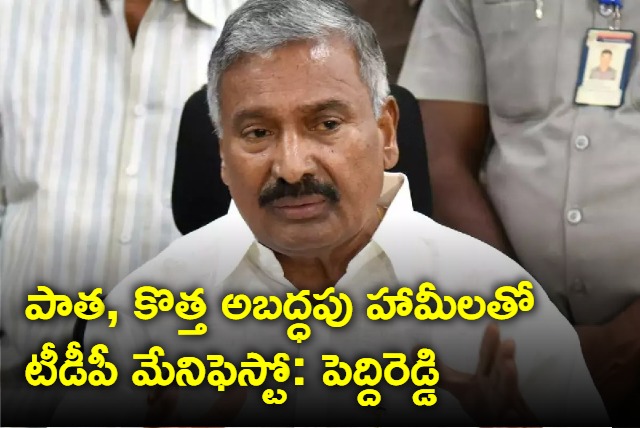 peddireddy ramachandrareddy comments on TDP manifesto 