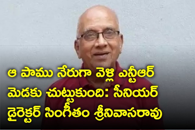 Singeeetham Srinivasa Rao Interview