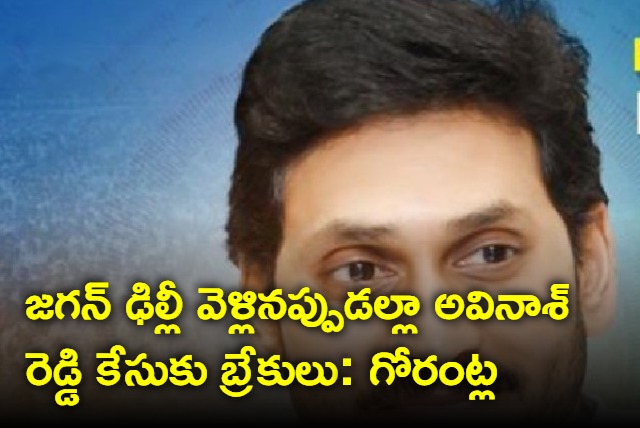 Gorantla slams YS Jagan for stalling YS Viveka murder case