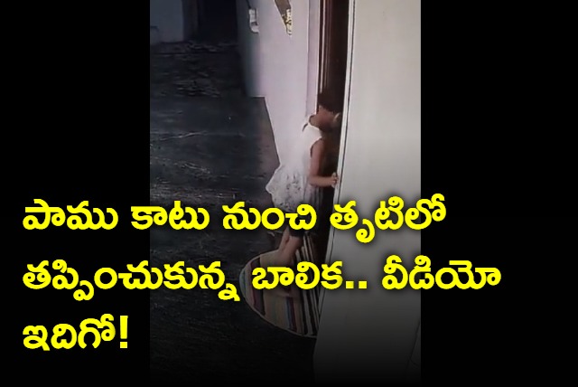 karnataka girl escaped snake bite viral video