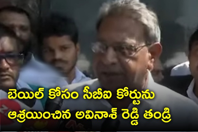 YS Bhaskar Reddy files petition in CBI court