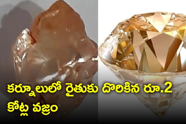 Kurnool Farmer Stumbles Upon Brown Diamond Worth Rs 2 Crores in Agricultural Land